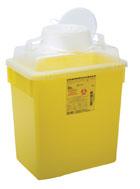 Safely Using Sharps (Needles and Syringes) at Home, at Work and on Travel
