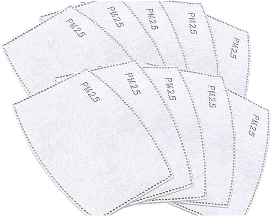 Disposable Replacement PM 2.5 Filters, Pack of 10